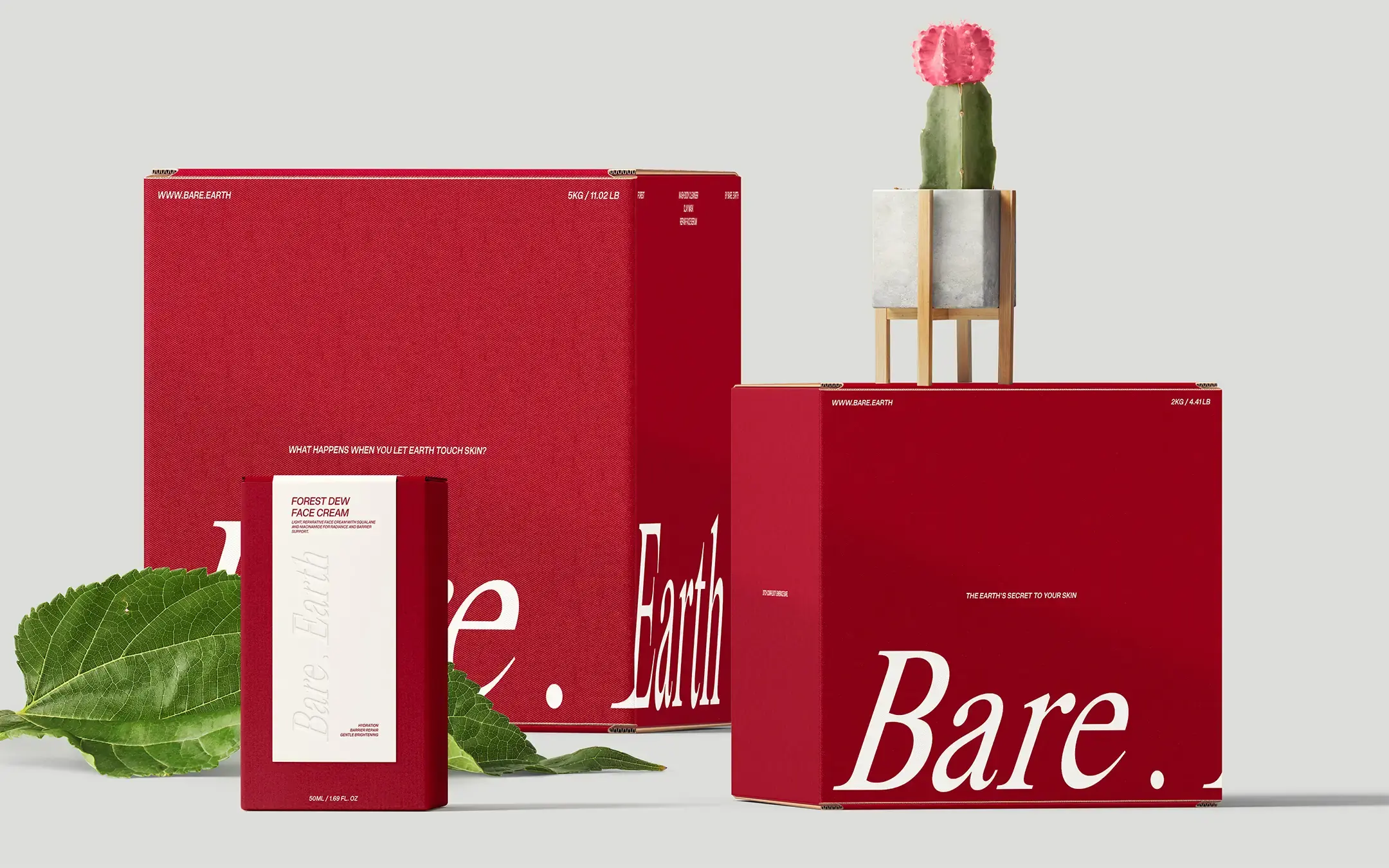 Bare . Earth Box Packaging