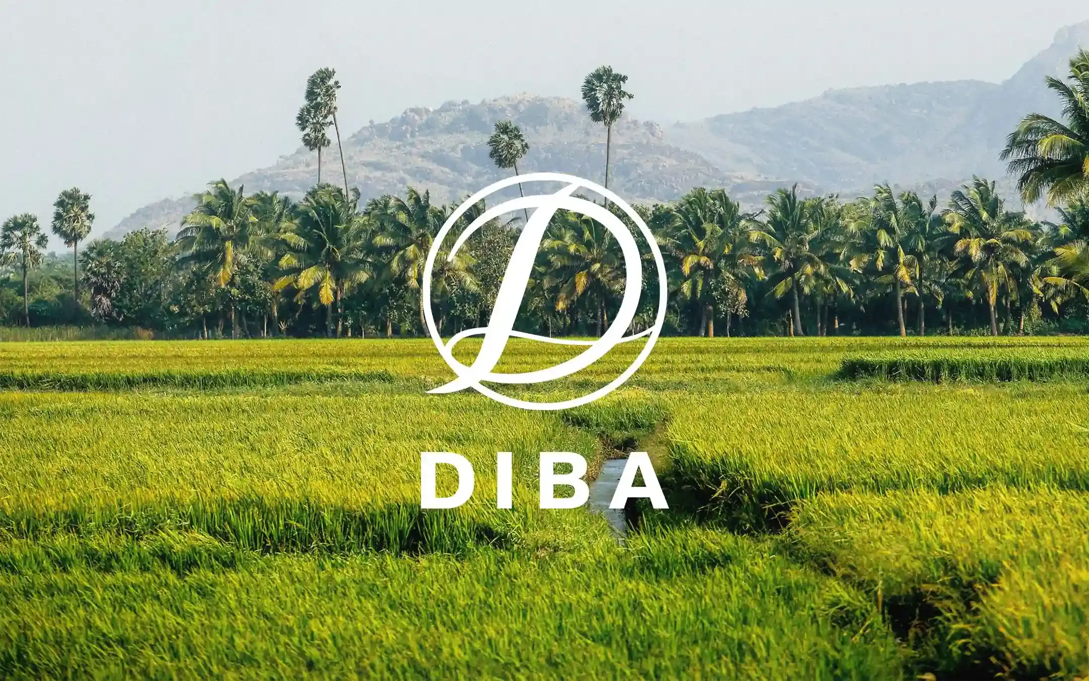 DIBA Foods Landscape Preview Image